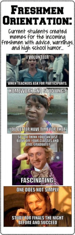 Current Students Created Memes For The Incoming Freshmen With Advice