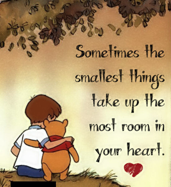 The Smallest Things Take Up The Most Room In Your Heart Pictures