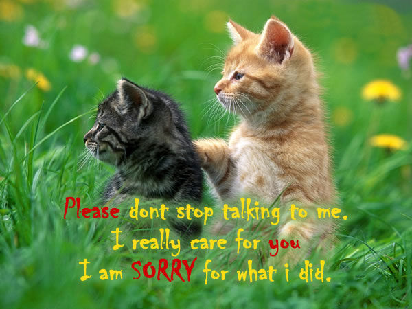 I Really Care I Am Sorry For What I Did Pictures, Photos, and Images