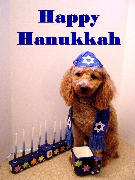 Cute Happy Hanukkah Quote For Friends Pictures, Photos 