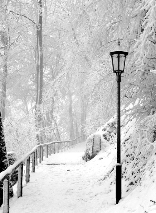 Snow Walkway Pictures, Photos, and Images for Facebook, Tumblr