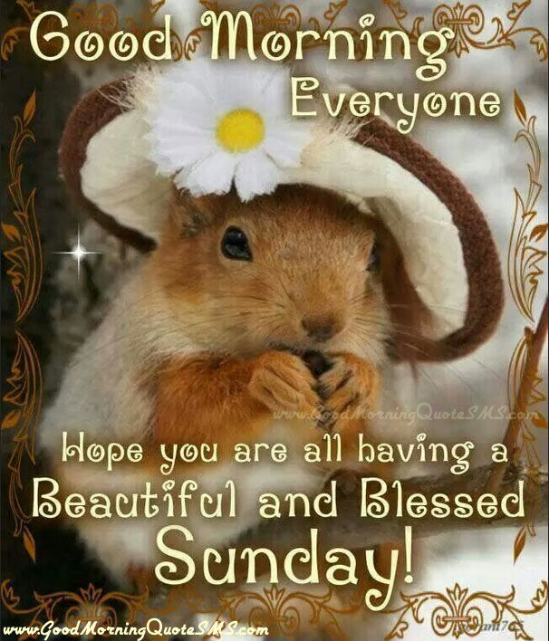 Good Morning Everyone Pictures, Photos, and Images for Facebook, Tumblr