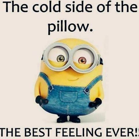 The Cold Side Of The Pillow Pictures Photos And Images For