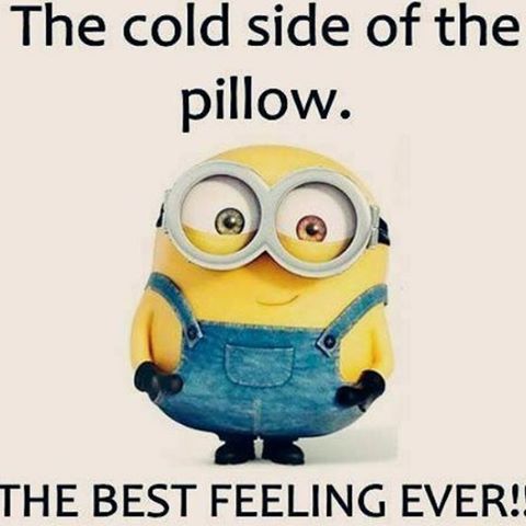 cold side pillow