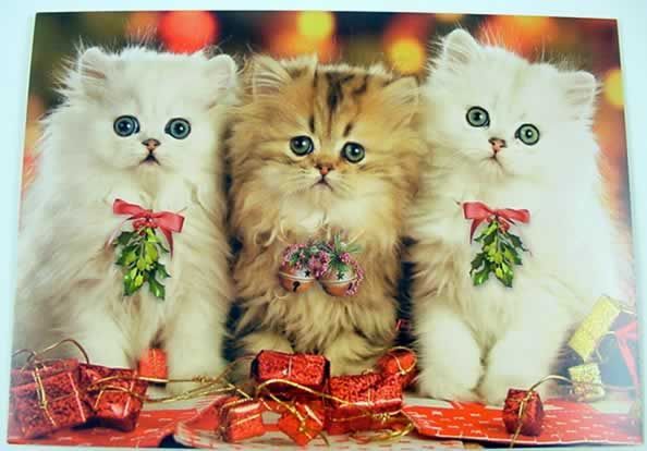 Christmas Kitties Embroidery Christmas Kitties Embroidery