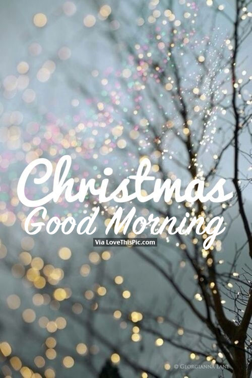Christmas Good Morning Pictures, Photos, and Images for Facebook