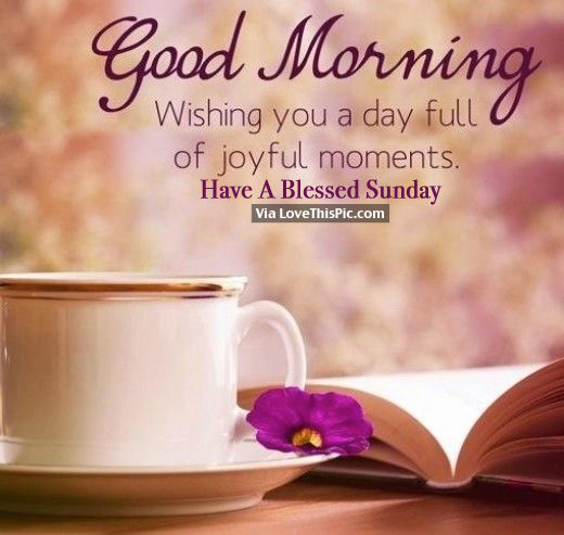 Good Morning, Wishing You A Day Full Of Joyful Moments. Have A Blessed