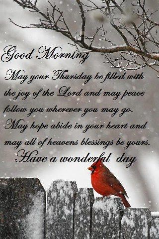Good Morning May Your Thursday Be Filled With Joy Pictures, Photos, and