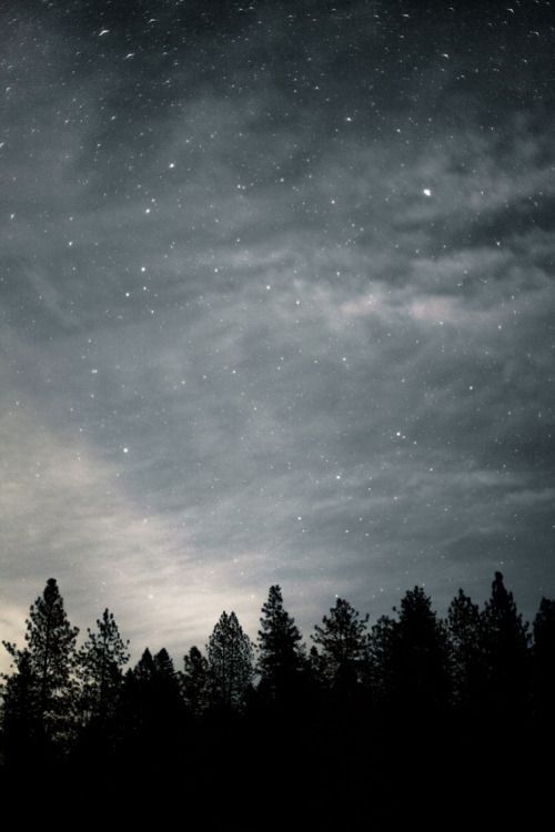 Stars Above The Forest Pictures, Photos, and Images for 