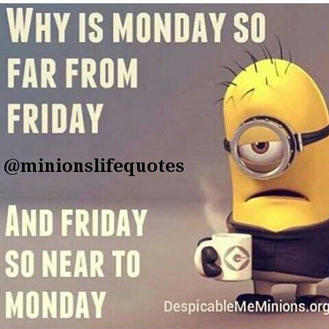 Why Is Monday So Far From Friday And Friday So Near To Monday Pictures
