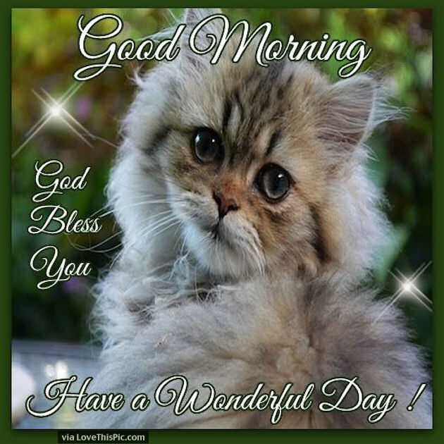 Good Morning God Bless You Have A Wonderful Day Pictures, Photos, and