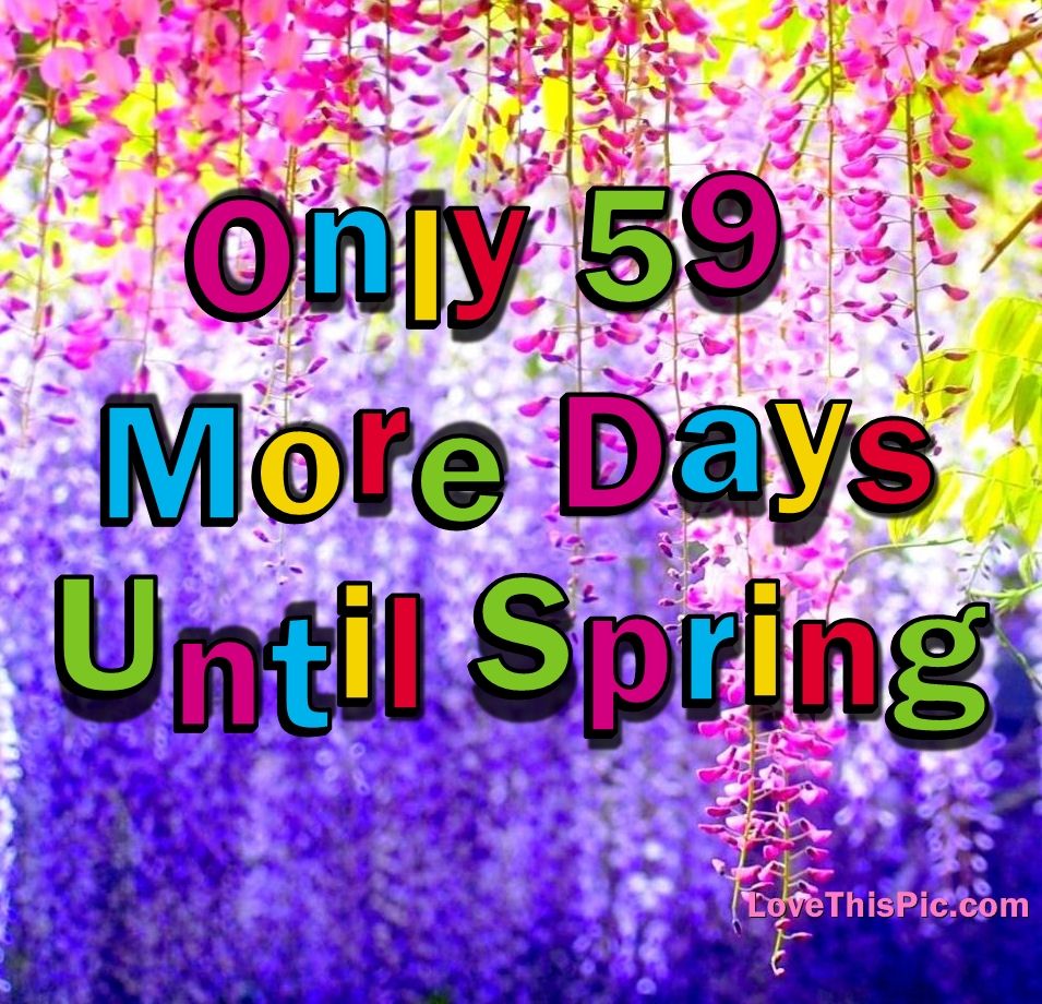 Only 59 More Days Until Spring Pictures Photos And Images For