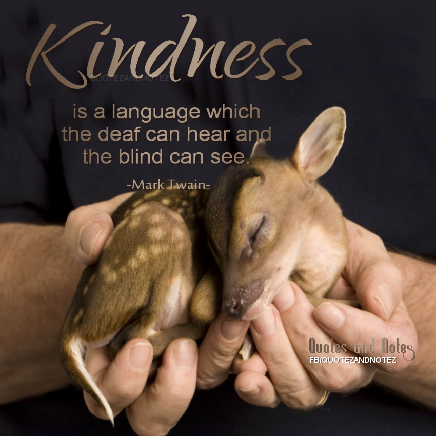 Kindness Is A Language Everyone SPeaks Pictures, Photos  Kindness Is A Language Everyone SPeaks Pictures, Photos