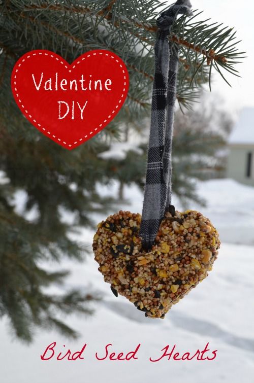 Valentine Bird Seed Hearts Pictures, Photos, and Images for Facebook, Tumblr, Pinterest, and Twitter