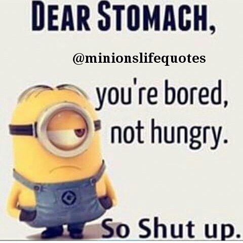 Znalezione obrazy dla zapytania dear stomach you are bored not hungry
