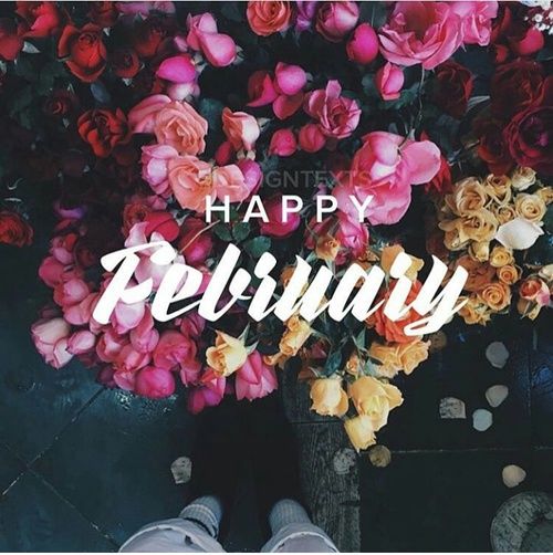 Happy February Pictures, Photos, and Images for Facebook 