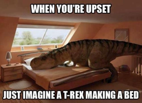 When You’re Upset, Just Image A T-rex Making A Bed Pictures, Photos