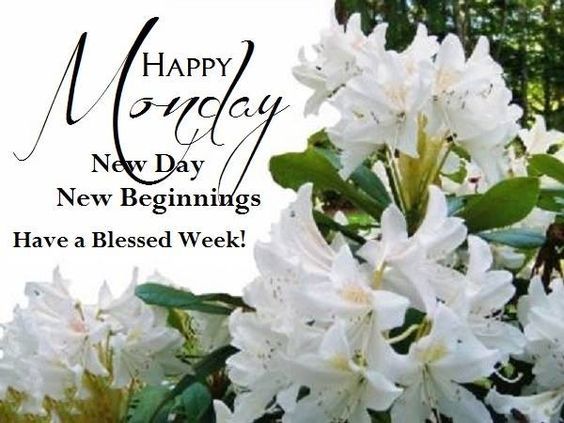 Happy Monday New Day New Beginnings Have A Blessed Week Pictures