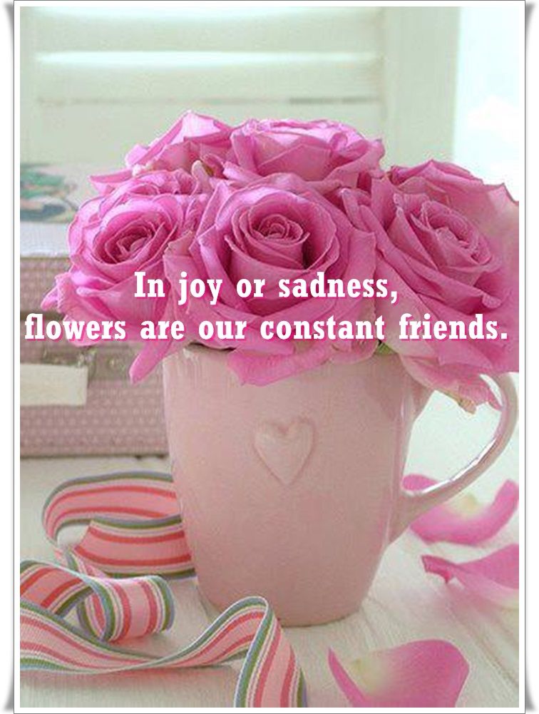 What Flower Represents Sadness at Velez blog