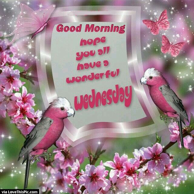 Good Morning Hope You Have A Wonderful Wednesday Pictures, Photos, and
