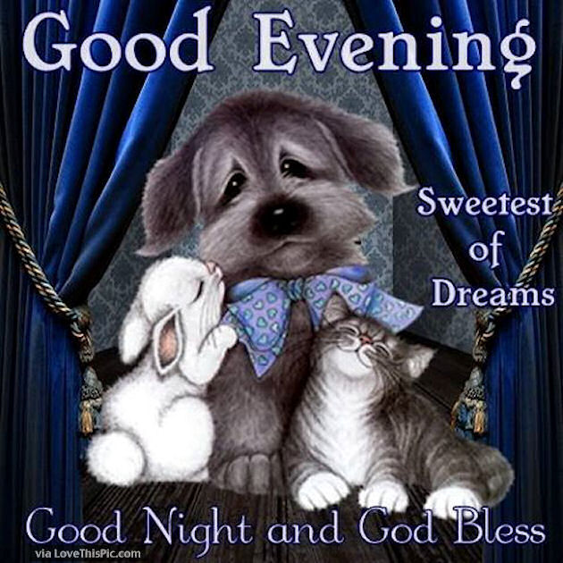 Good Evening Sweet Dreams Goodnight Pictures, Photos, and Images for