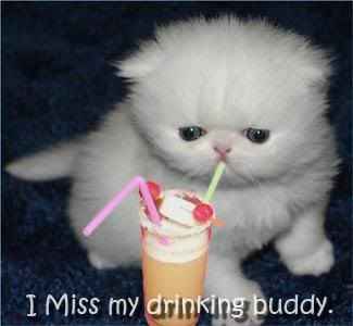 I Miss My Drinking Buddy… Pictures, Photos, and Images for Facebook, Tumblr, Pinterest, and