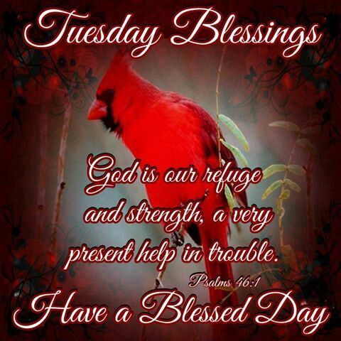 Tuesday Blessings, Have A Blessed Day Pictures, Photos, and Images for