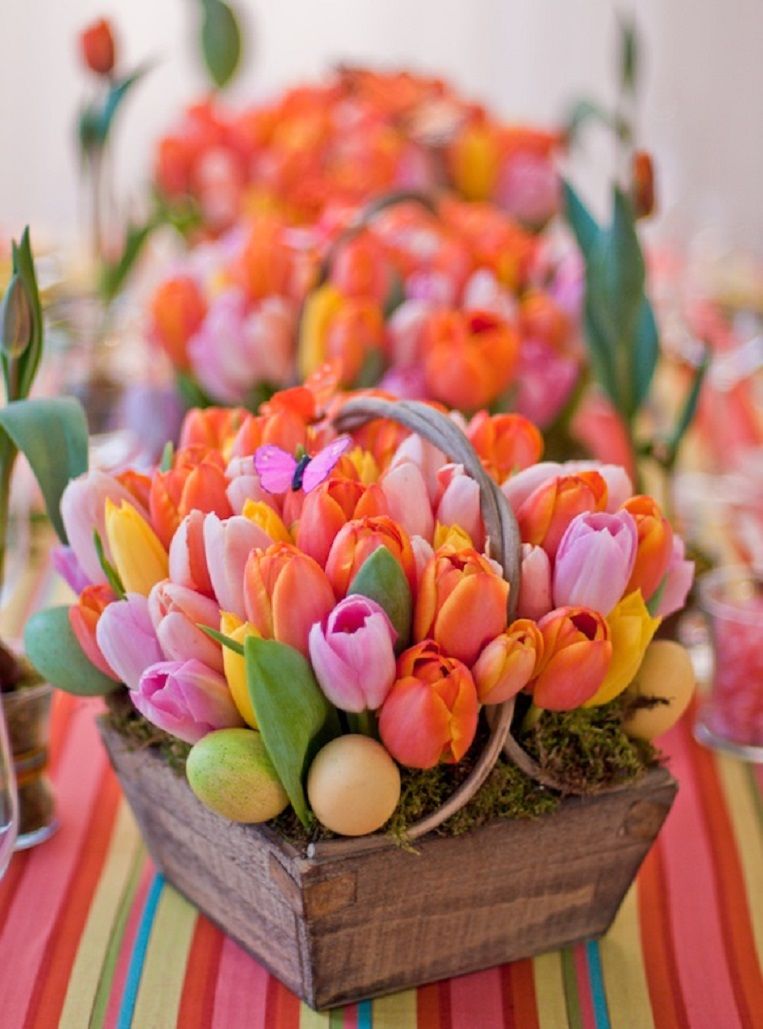 Bright & Colorful Tulip Centerpiece Pictures, Photos, and Images for
