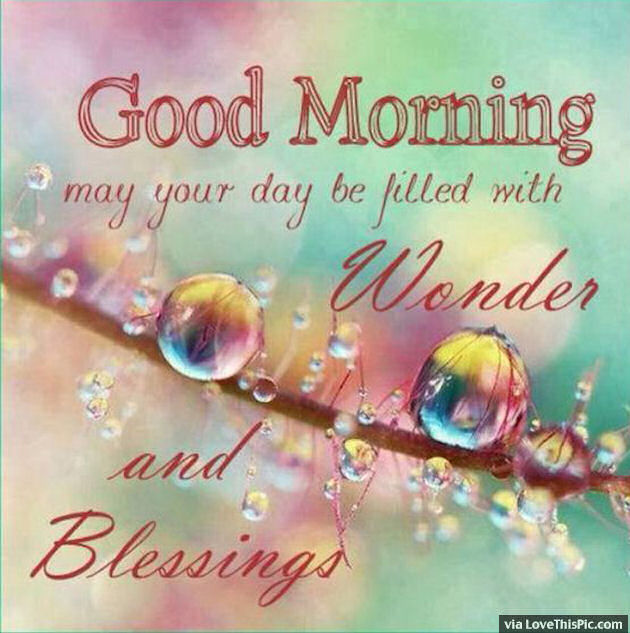 Good Morning May Your Day Be Filled With Wonder Pictures, Photos, and