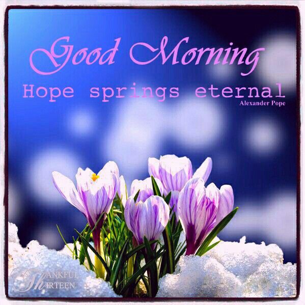 Good Morning Hope Springs Eternal Pictures, Photos, and Images for
