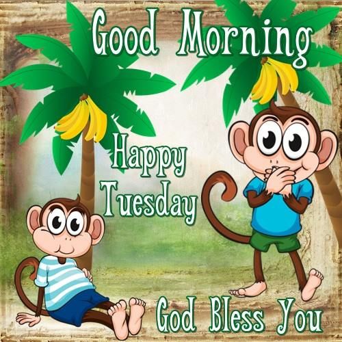 Good Morning Happy Tuesday God Bless You Pictures, Photos, and Images
