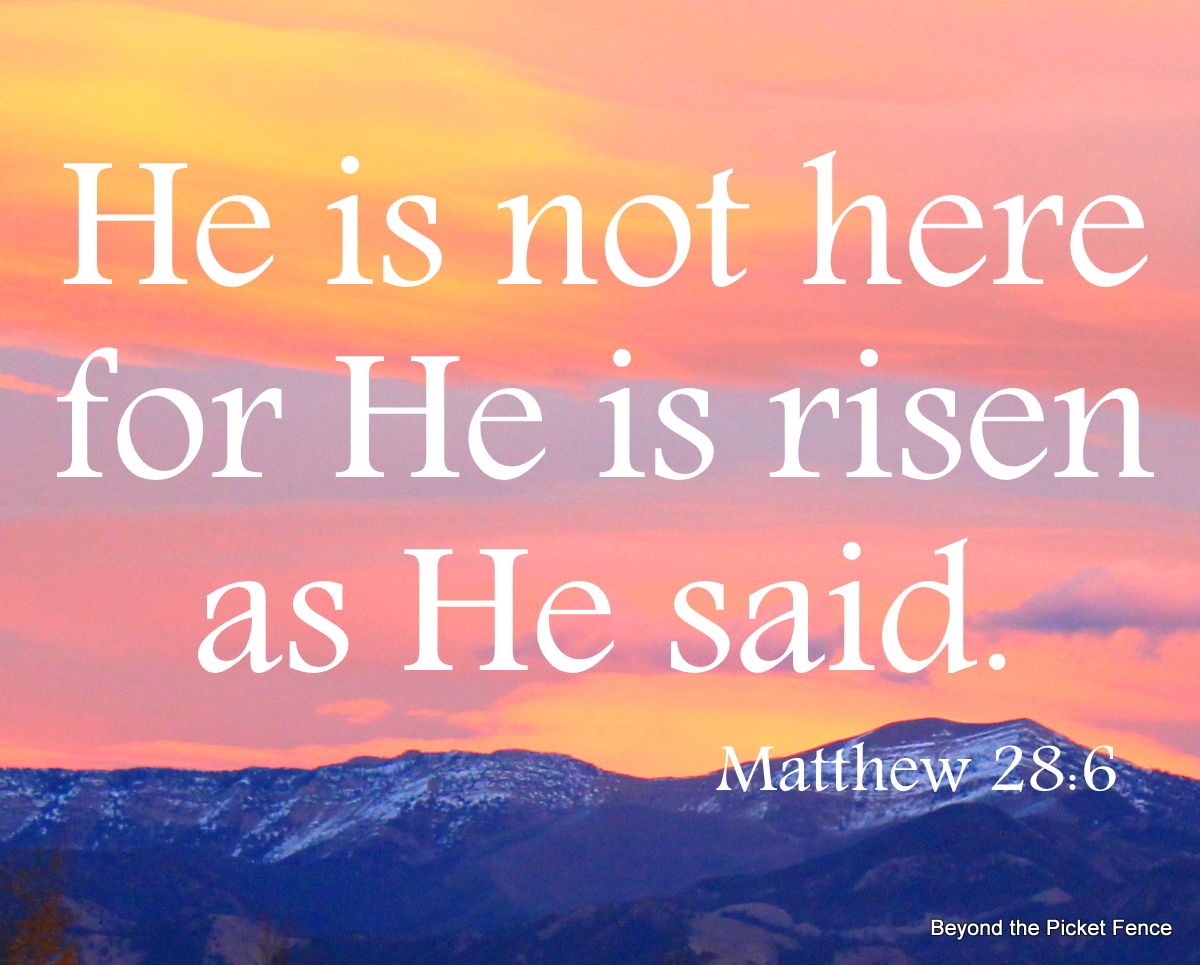 He Is Not Here For He Is Risen, Just As He Said Pictures, Photos, and