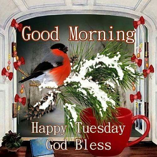 Good Morning, Happy Tuesday, God Bless Pictures, Photos, and Images for