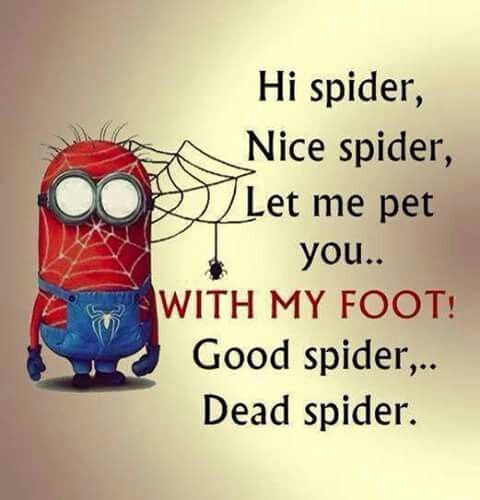 Good Spider, Dead Spider Pictures, Photos, and Images for Facebook