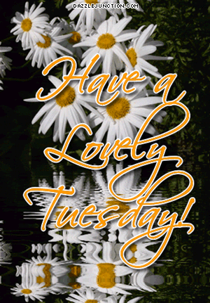 Have A Lovely Tuesday Pictures, Photos, and Images for Facebook, Tumblr