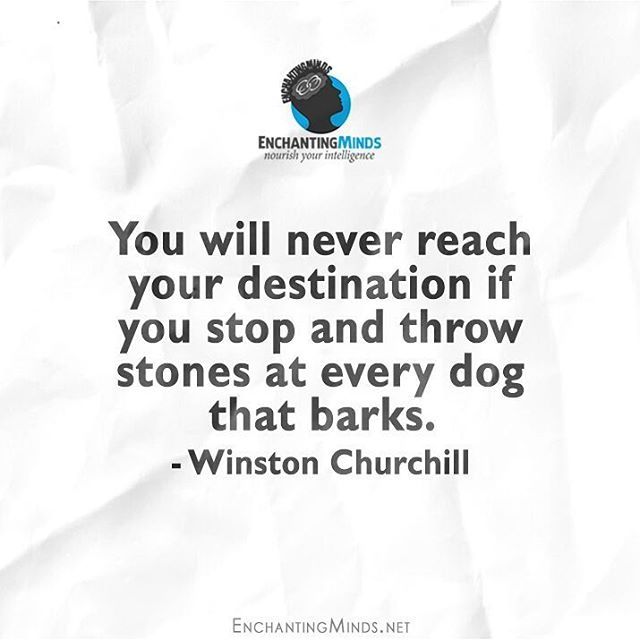 You Will Never Reach Your Destination If You Stop And Throw Stones At