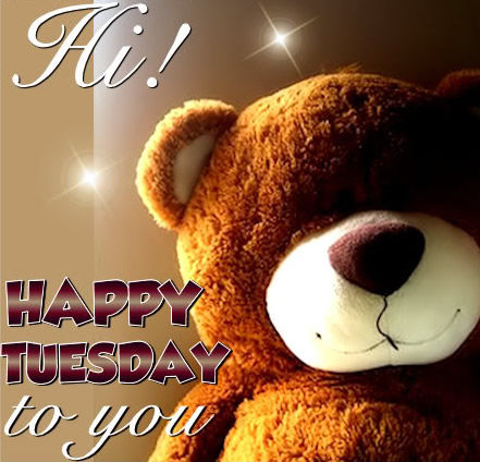 Hi Happy Tuesday To You Pictures, Photos, and Images for Facebook