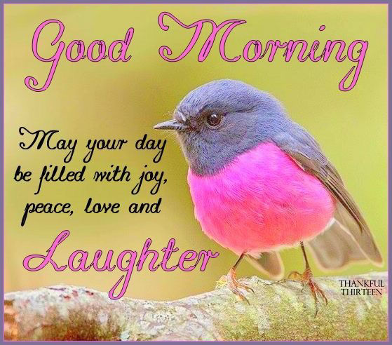 What laughter will you find in your day today?