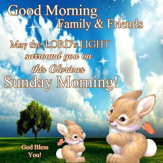 Good Morning Family & Friends. May The Lord Light Surround ...
