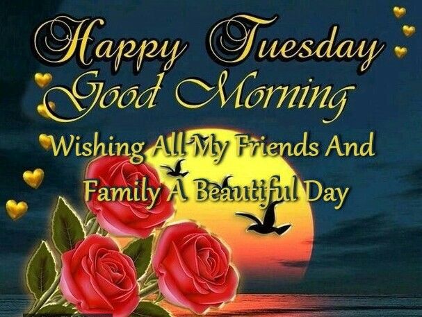 Happy Tuesday, Good Morning Pictures, Photos, and Images for Facebook