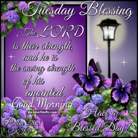 Tuesday Blessings, Good Morning Have A Blessed Day Pictures, Photos