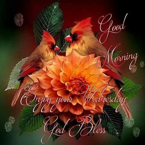 http://www.lovethispic.com/uploaded_images/252745-Good-Morning-Enjoy-Your-Wednesday-God-Bless.jpg