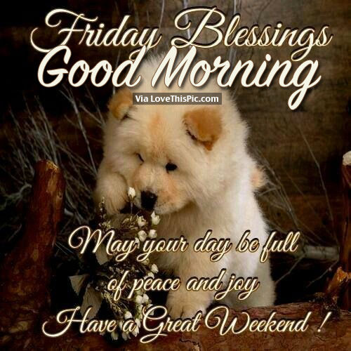 Friday Blessings, Good Morning Pictures, Photos, and Images for