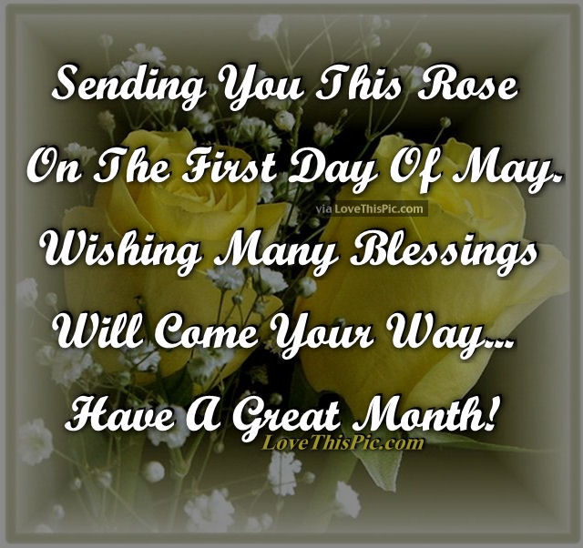 Sending You A Rose On The First Day Of May Wishing Many