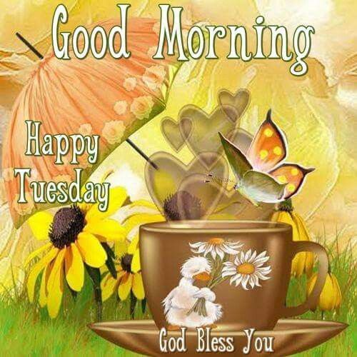 Good Morning, Happy Tuesday Pictures, Photos, and Images for Facebook