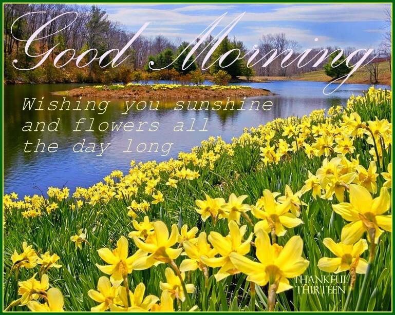 Good Morning Wishing You Sunshine And Flowers Pictures, Photos, and