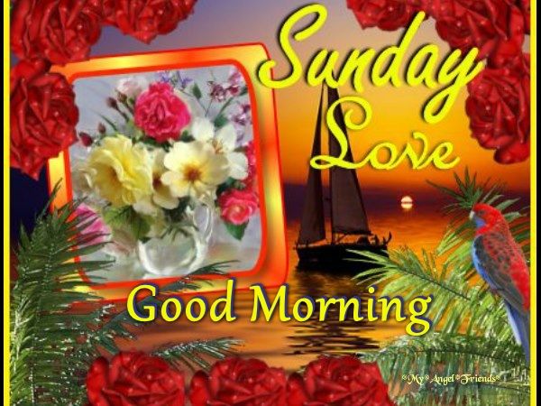 Sunday Love Good Morning Pictures, Photos, and Images for Facebook
