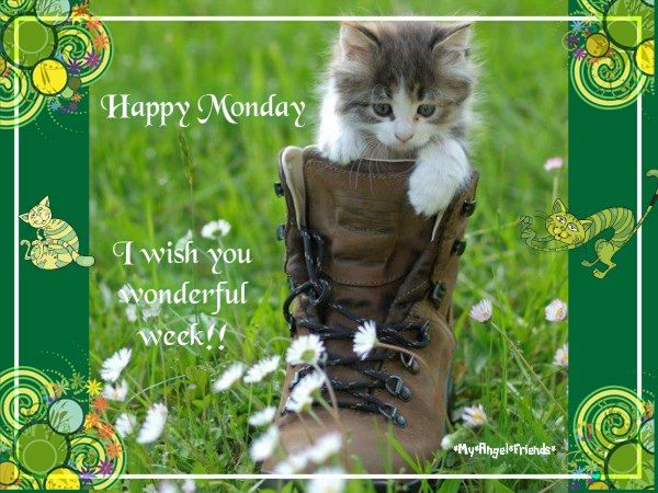 Happy Monday I Wish You A Wonderful Week Pictures, Photos, and Images