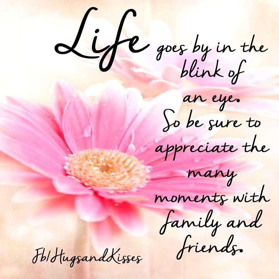 Life Goes By In A Blink Of An Eye So Appreciate... Pictures, Photos