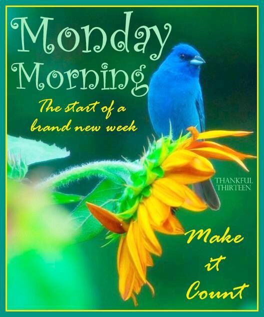 Monday Morning, The Start Of A Brand New Week Pictures, Photos, and